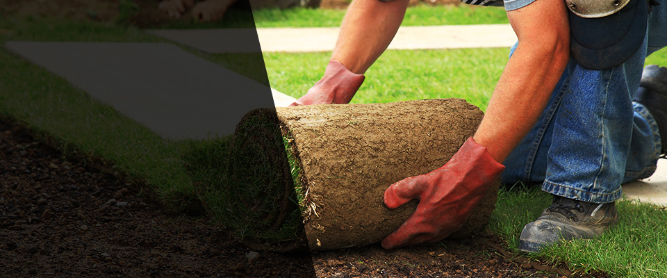 Hayesville Landscapers